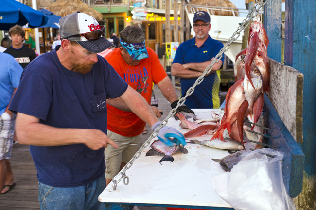 charter boat fishing in Destin Destin fl charter boats