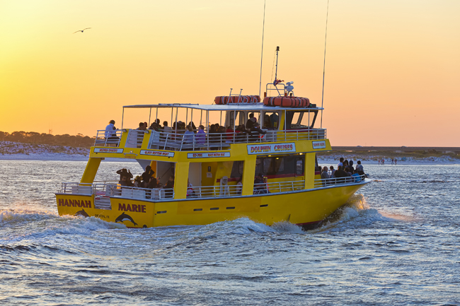 destin fl dolphin cruises dolphins in destin fl